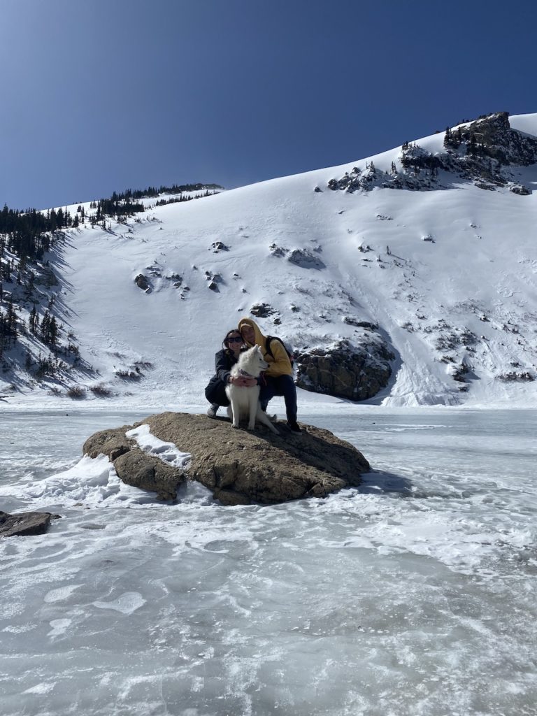 Glacier in Spring